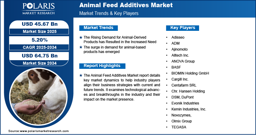 Animal Feed Additives Market Size, Growth & Outlook Report 2034