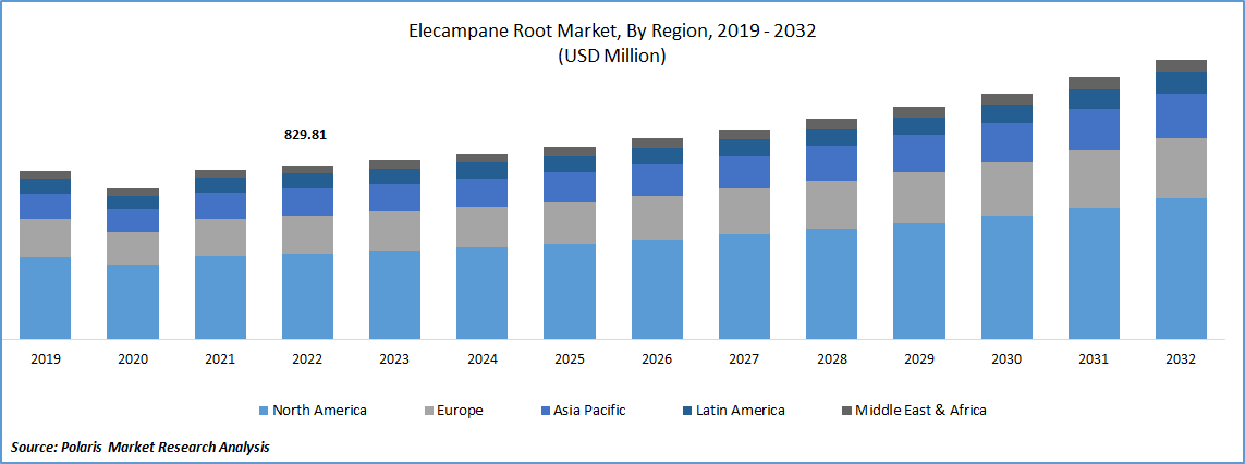 Elecampane Root Market Analysis: Growth, Trends, & Outlook | 2032