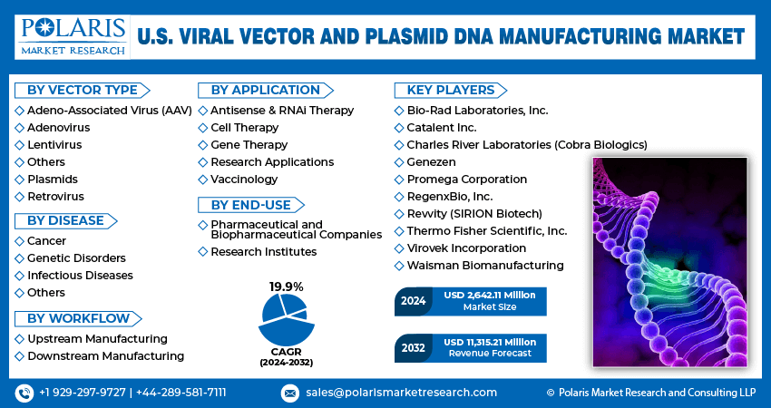 U.S. Viral Vector and Plasmid DNA Manufacturing Market Size 2032