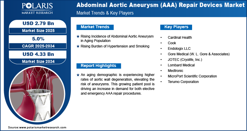 Abdominal Aortic Aneurysm (AAA) Repair Devices Market Size Worth USD 4.33 Billion by 2034 | CAGR: 5.0%
