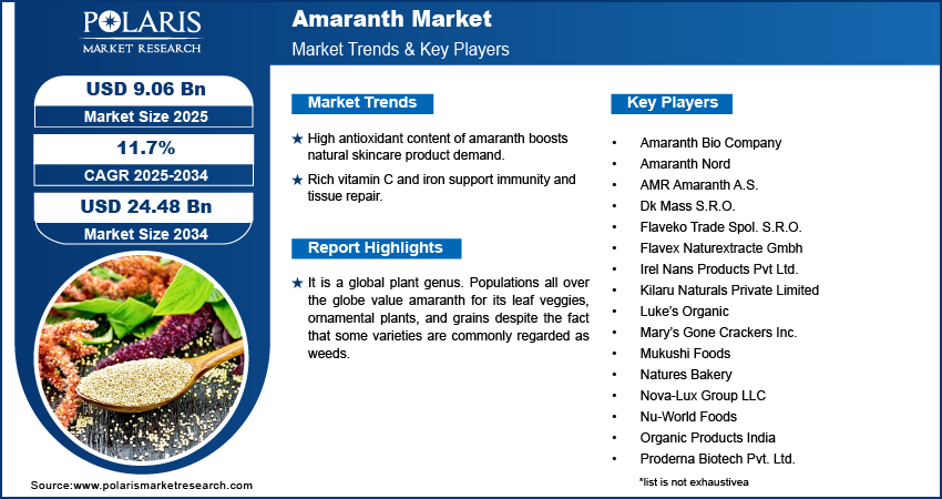 Amaranth Market Size Worth USD 24.48 Billion By 2034 | CAGR: 11.7%