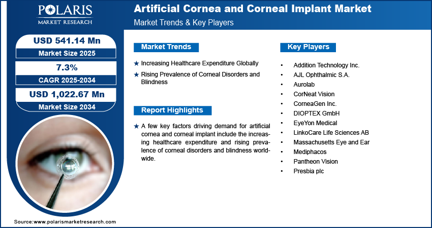 Artificial Cornea and Corneal Implant Market Size Worth USD  1,022.67 Million by 2034 | CAGR: 7.3%