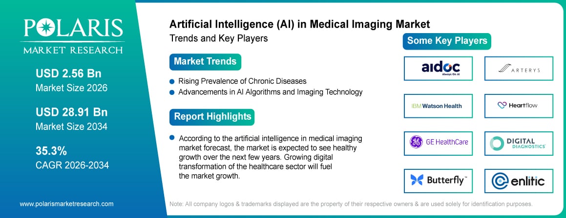 Artificial Intelligence (AI) in Medical Imaging Market Size Worth USD 28.91 Billion by 2034 | CAGR: 35.3%