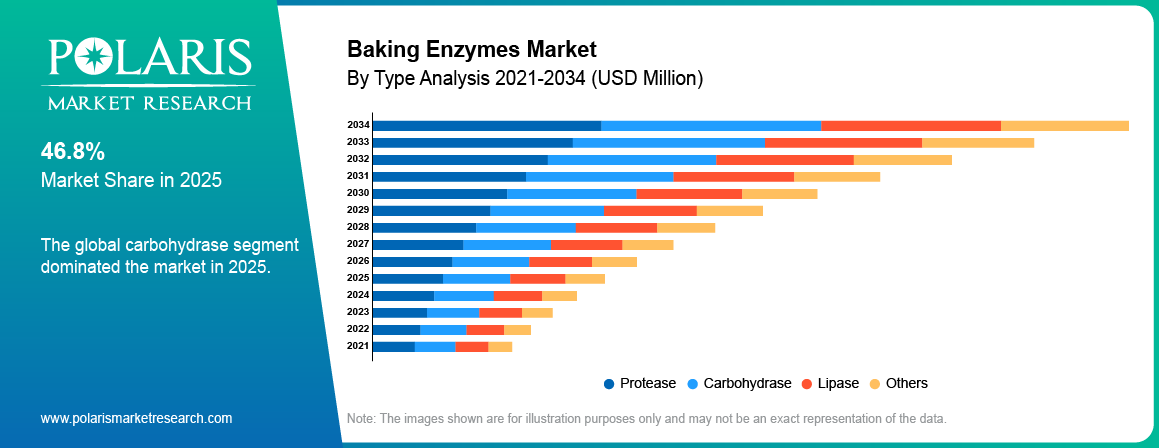 Baking Enzymes Market By Type Analysis 2021-2034 (USD Million)