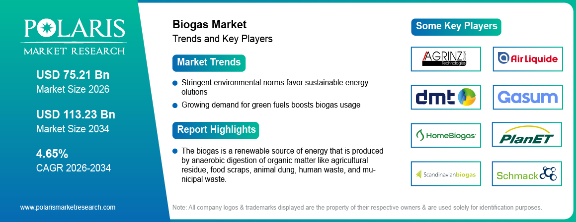 Biogas Market Trends & Key Players 2021-2034 (USD Billion)
