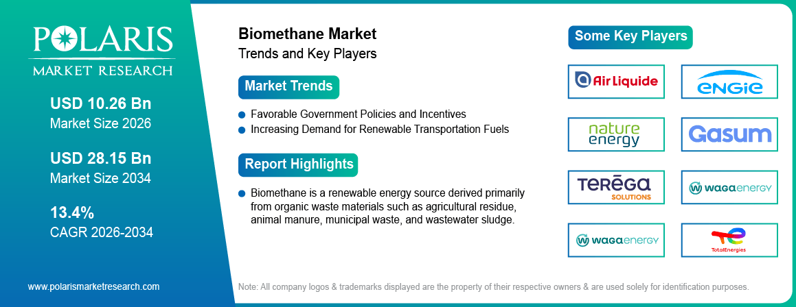 Biomethane Market Trends & Key Players 2021-2034 (USD Billion)