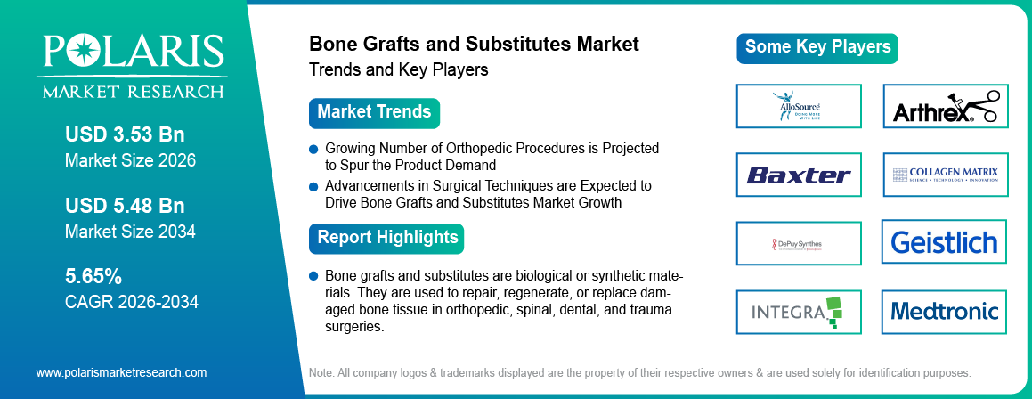 Bone Grafts And Substitutes Market Size Worth USD 5.48 Billion by 2034 | CAGR: 5.65%