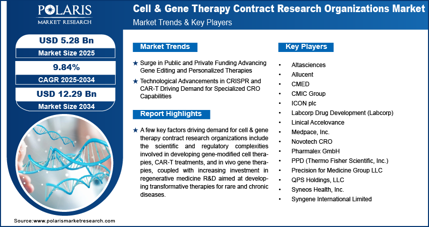 Cell & Gene Therapy Contract Research Organizations Market Size Worth USD 12.29 Billion by 2034 | CAGR: 9.84%