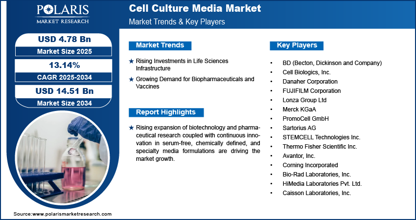 Cell Culture Media Market Size Worth USD 14.51 Billion by 2034 | CAGR: 13.14%