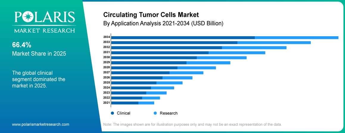 Circulating Tumor Cells Market share by application, clinical, research 2021 to 2034.