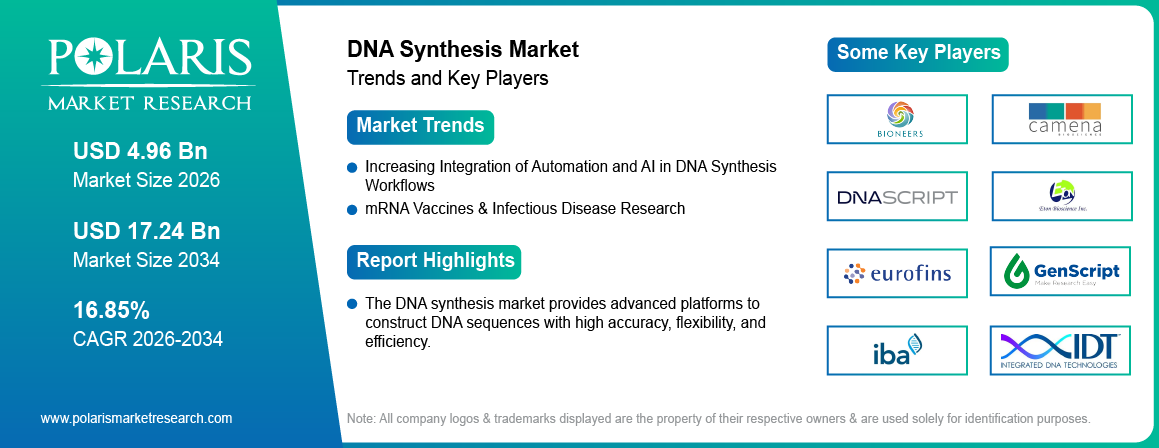 DNA Synthesis Market Size Worth USD 17.24 Billion by 2034 | CAGR: 16.85%