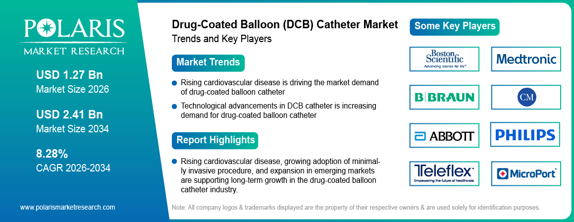 Drug-Coated Balloon Catheter Market Size to Reach USD 2.41 Billion by 2034