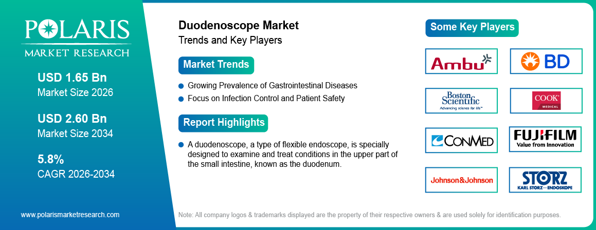 Duodenoscope Market Size Worth USD 2.60 Billion by 2034 | CAGR: 5.8%