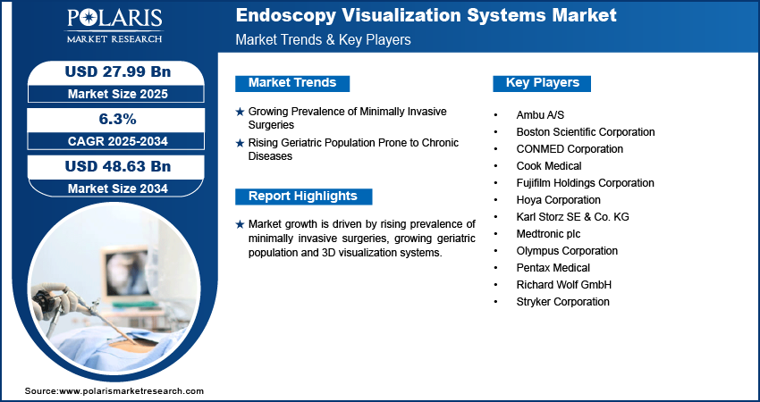 Endoscopy Visualization Systems Market Size Worth USD  48.63 Billion by 2034 | CAGR: 6.3%