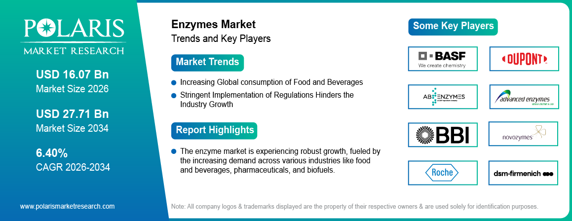 Enzymes Market Size Worth USD 27.71 Billion by 2034 | CAGR: 6.40%