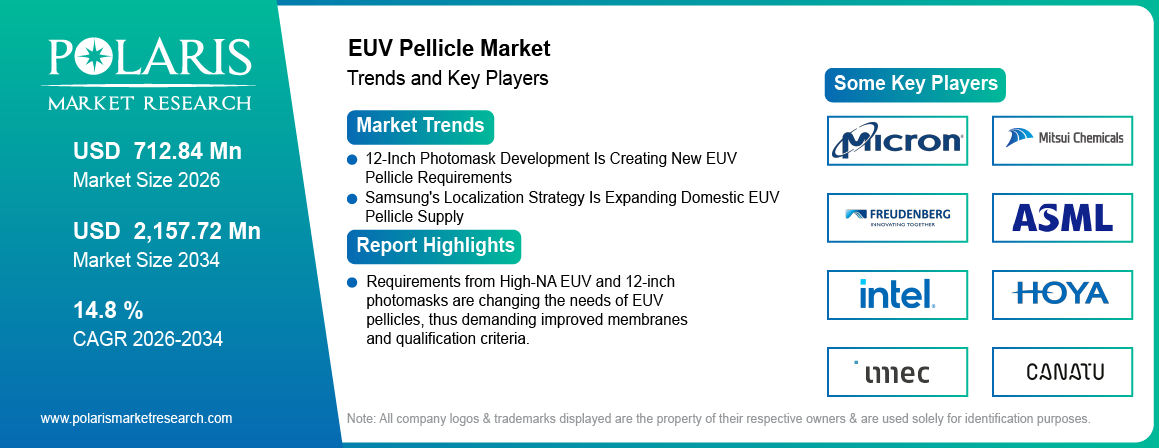 EUV Pellicle Market trends, growth drivers and leading industry players.