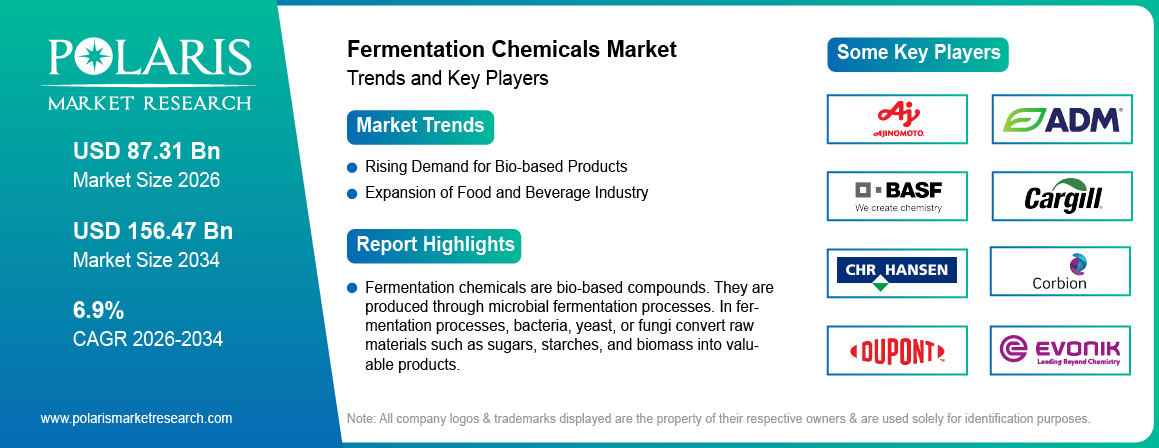 Fermentation Chemicals Market Trends & Key Players 2021-2034 (USD Billion)