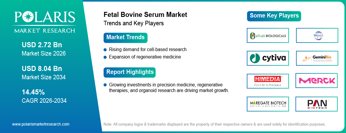 Fetal Bovine Serum Market Trends & Key Players 2021 - 2034 (USD Billion)