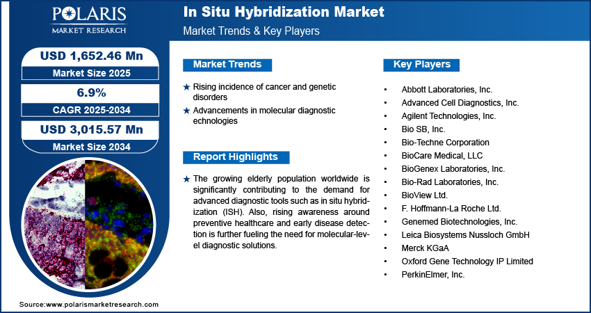 In Situ Hybridization Market Size Worth USD 3,015.57 Million by 2034 | CAGR: 6.9%
