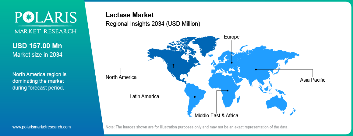 Lactase Market Trends by Region 2021–2034 (USD Million)