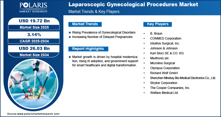Laparoscopic Gynecological Procedures Market Size Worth USD 26.03 Billion by 2034 | CAGR: 3.14%