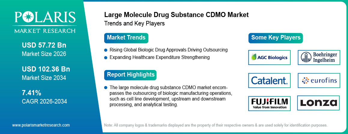 Large Molecule Drug Substance CDMO Market Trends & Key Players 2021-2034 (USD Billion)