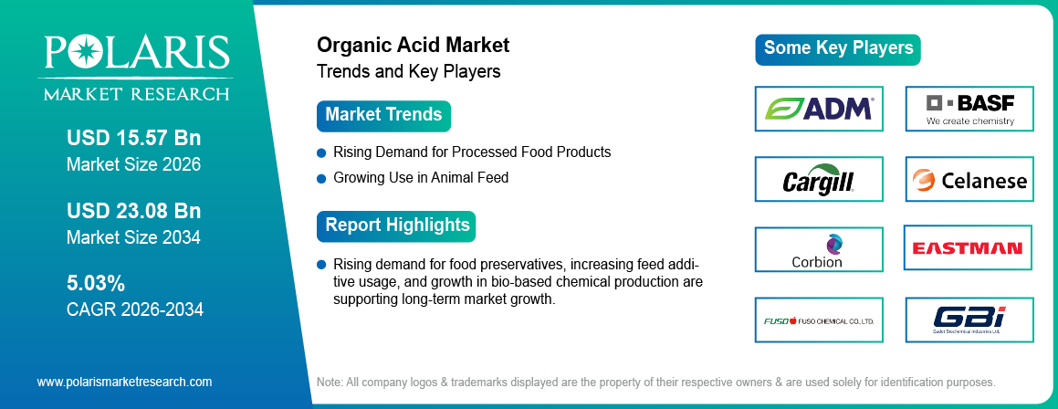 Organic Acid Market Size to Reach USD 23.08 Billion by 2034