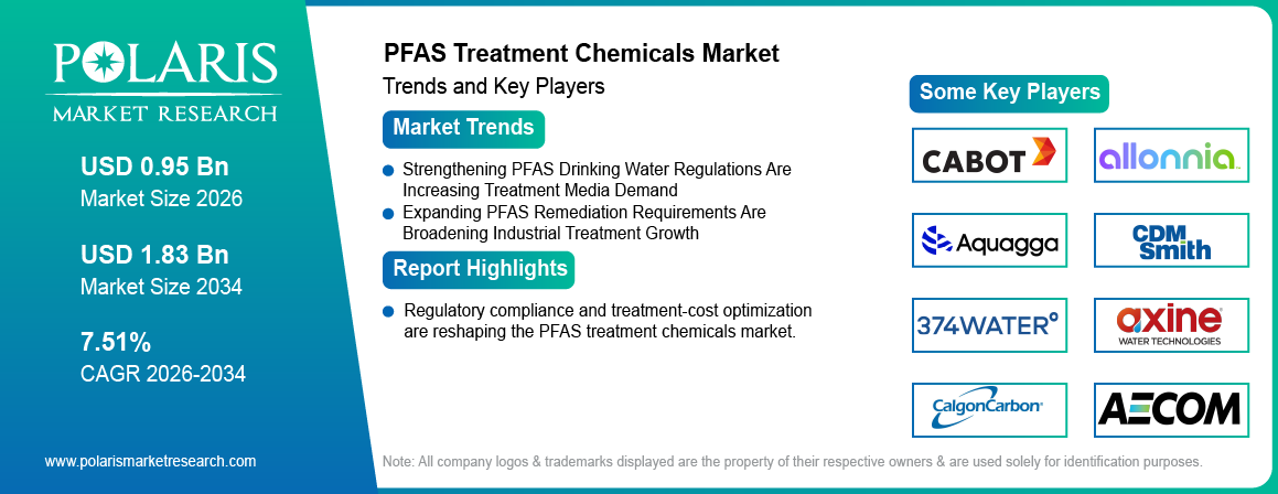 PFAS Treatment Chemicals Market trends, growth drivers and leading industry players.