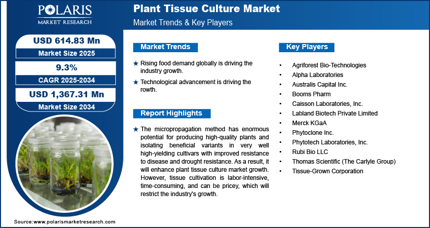 Plant Tissue Culture Market Size Worth $1,367.31 Million By 2034 | CAGR: 9.3%