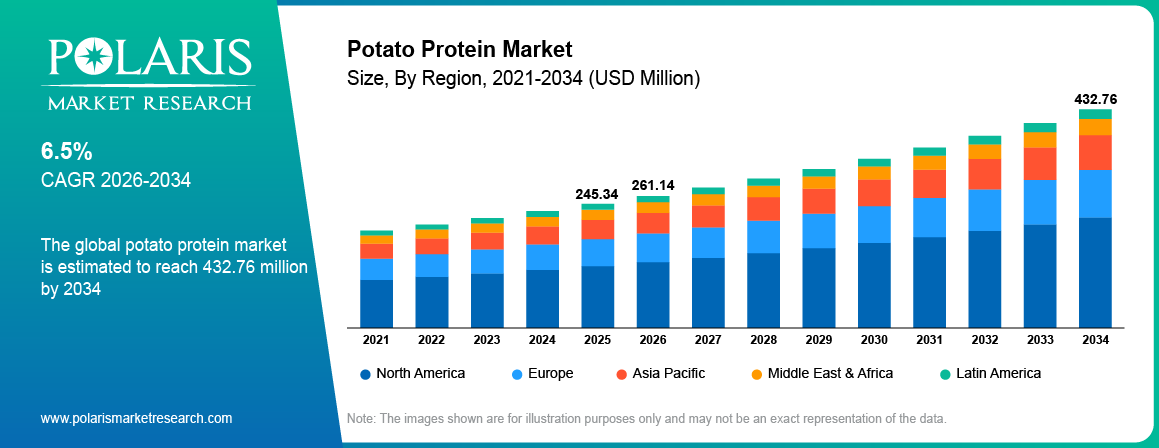 Potato Protein Market Size By Region 2021-2034 (USD Million)