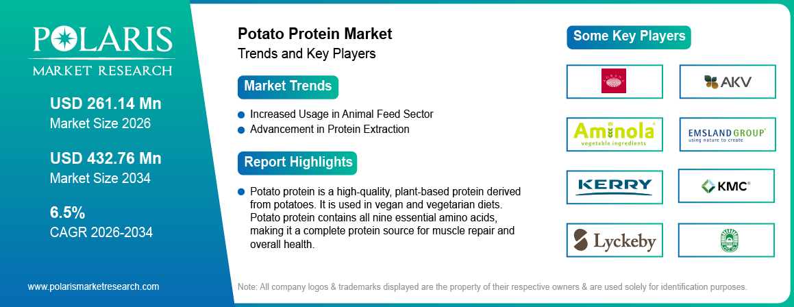 Potato Protein Market Size Worth USD 432.76 Billion by 2034 | CAGR: 6.5%