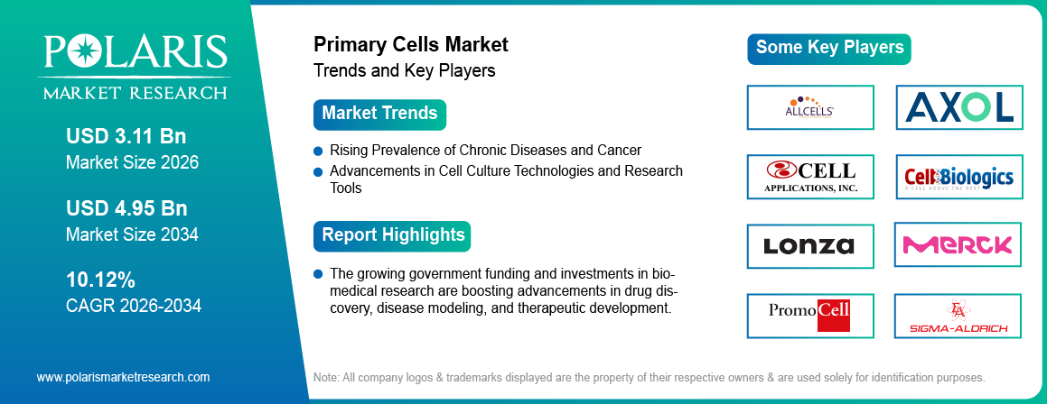 Primary Cells Market Size Worth USD 4.95 Billion by 2034 | CAGR: 10.12%