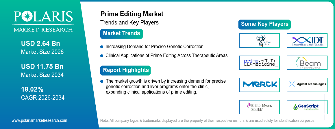 Prime Editing Market trends, growth drivers and leading industry players.
