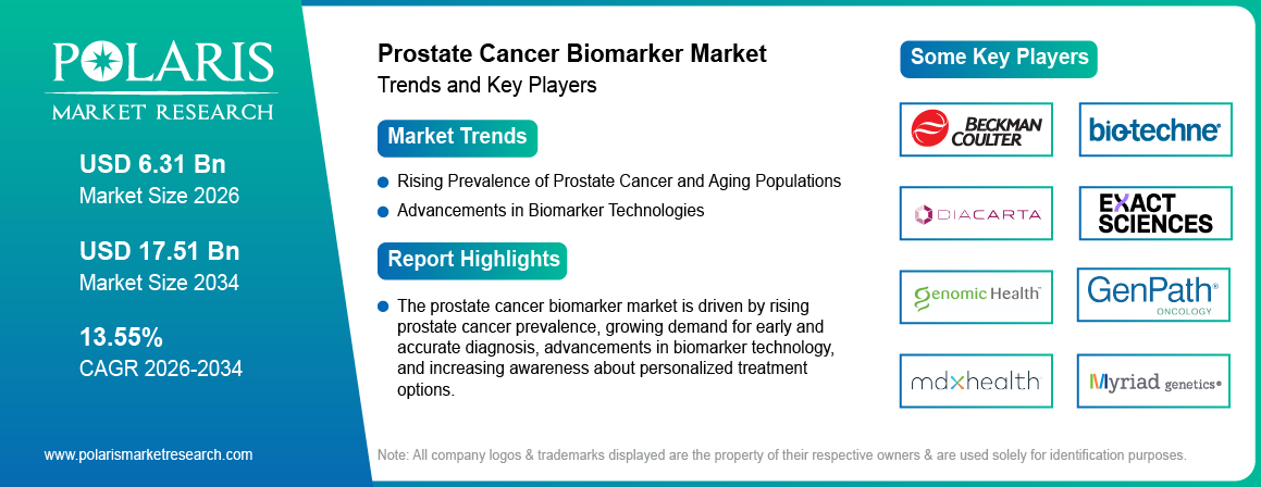 Prostate Cancer Biomarkers Market Size Worth USD 17.51 Billion by 2034 | CAGR: 13.55%