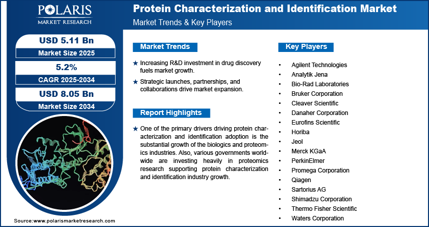 Protein Characterization and Identification Market Size worth $8.05 Billion by 2034 | CAGR: 5.2%