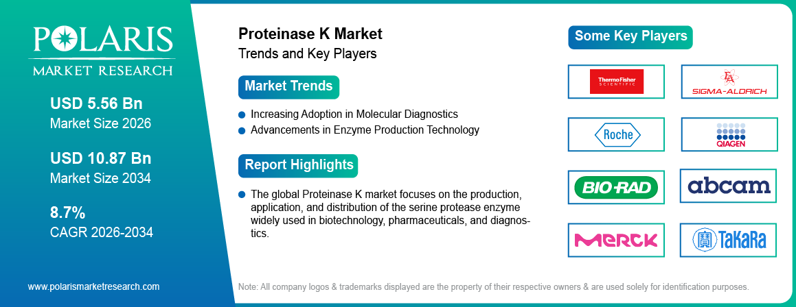 Proteinase K Market Size Worth USD 10.87 Billion by 2034 | CAGR: 8.7%