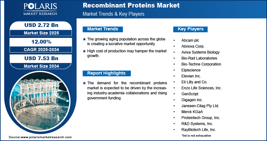 Recombinant Proteins Market Size Worth $7.53 Billion By 2034 | CAGR: 12.00%