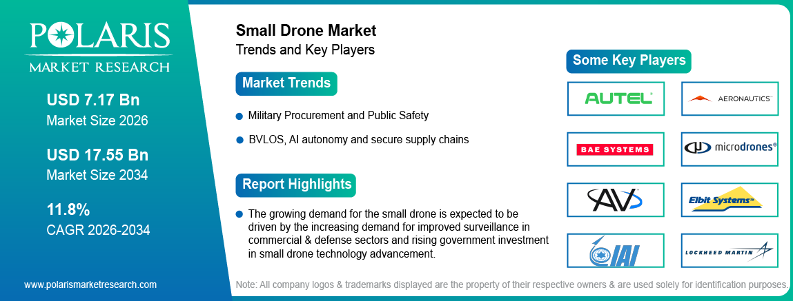 Small Drone Market trends, growth drivers and leading industry players.