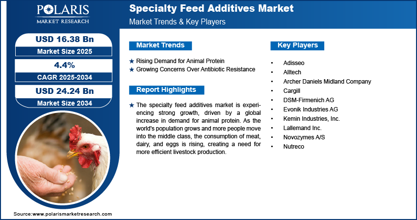 Specialty Feed Additives Market Size Worth USD 24.24 Billion by 2034 | CAGR: 4.4%