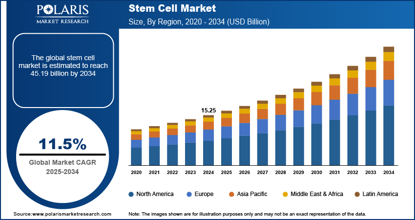 Stem Cell Market Size By Region 2020 - 2034 (USD Billion)