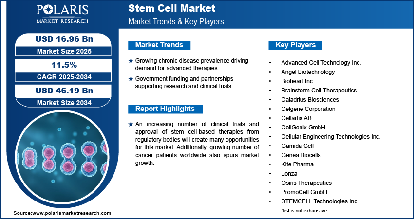 Stem Cell Market Size Worth $45.19 Billion By 2034 | CAGR: 11.5%