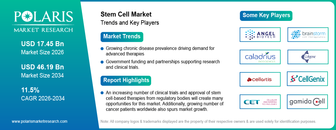 Stem Cell Market Trends & Key Players 2021-2034 (USD Billion)