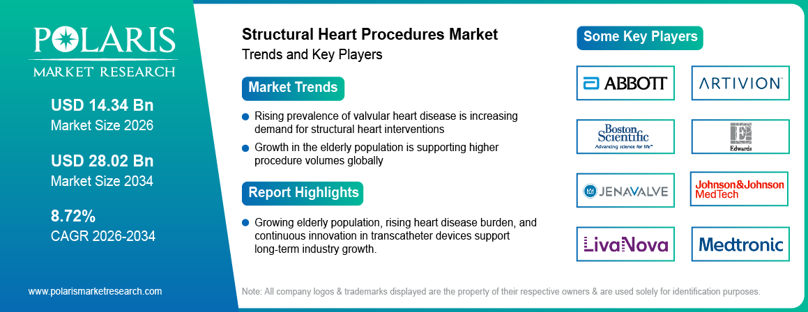 Structural Heart Procedures Market Size to Reach USD 28.02 Billion by 2034