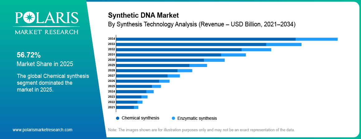 Synthetic DNA Market share by Technology, Chemical, Enzymatic synthesis 2021 to 2034.