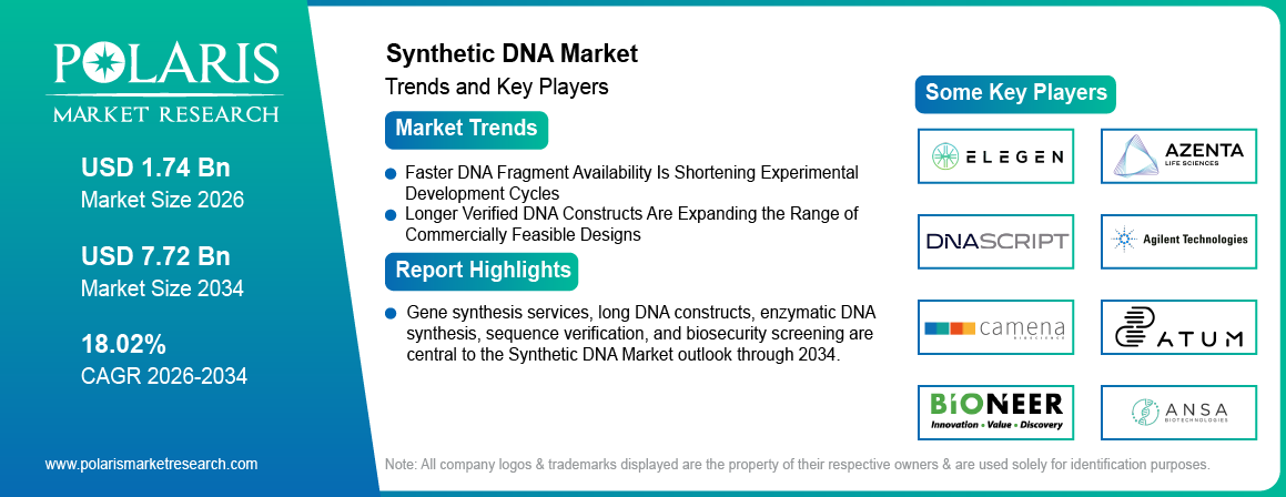 Synthetic DNA Market trends, growth drivers and leading industry players.