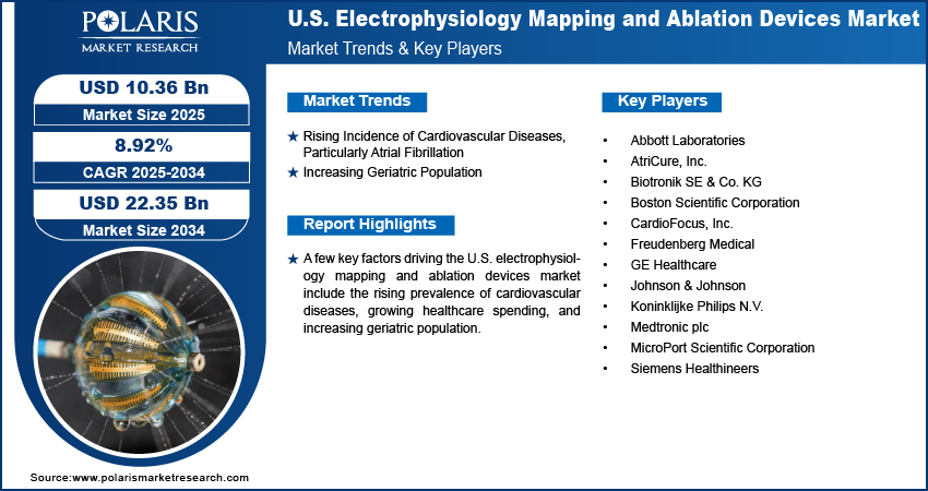 U.S. Electrophysiology Mapping and Ablation Devices Market Size Worth USD 22.35 Billion by 2034 | CAGR: 8.92%