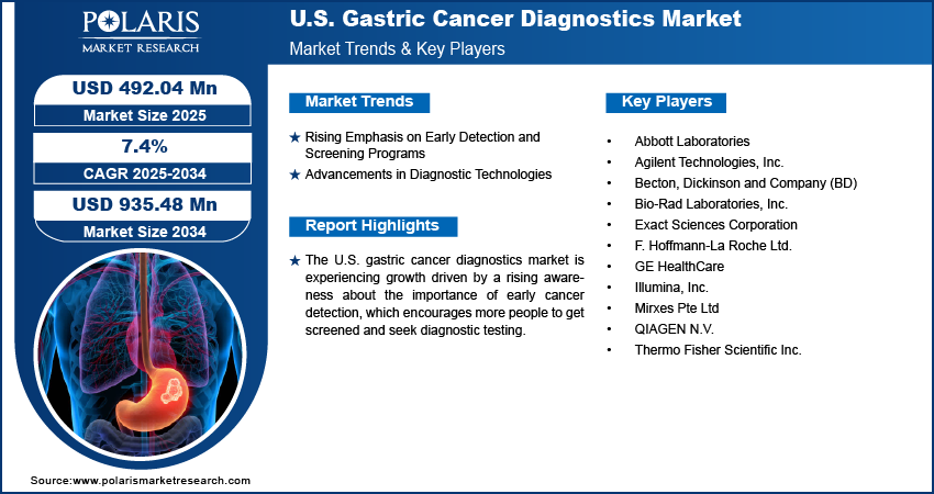 U.S. Gastric Cancer Diagnostics Market Size Worth USD 935.48 Million by 2034 | CAGR: 7.4%
