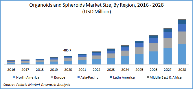 Organoids and Spheroids Market Size