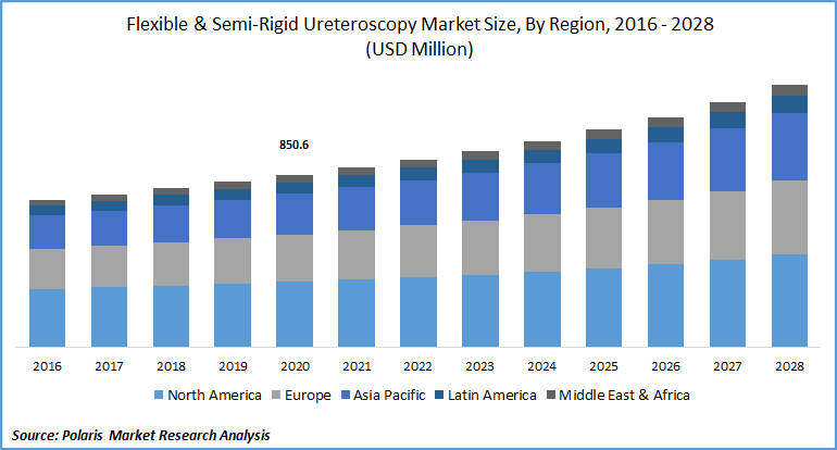 Flexible & Semi-Rigid Ureteroscopy Market Size