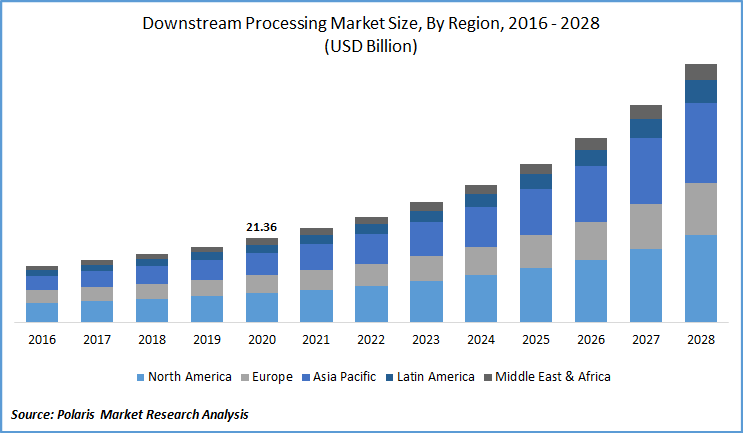 Downstream Processing Market Size